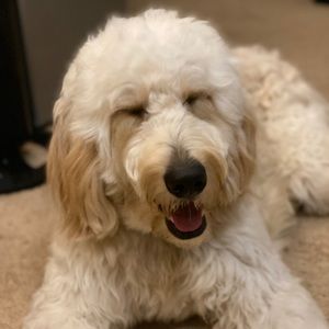 Meet your Posher, Mateo